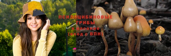 бошки Абаза