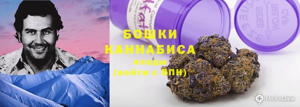 PSILOCYBIN Абдулино