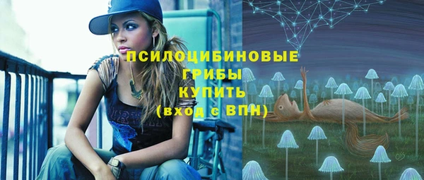 спиды Абинск