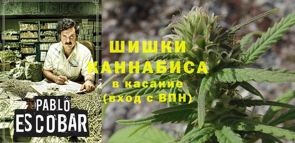 PSILOCYBIN Абдулино
