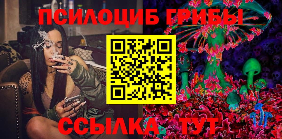 Галлюциногенные грибы Psilocybe Алатырь