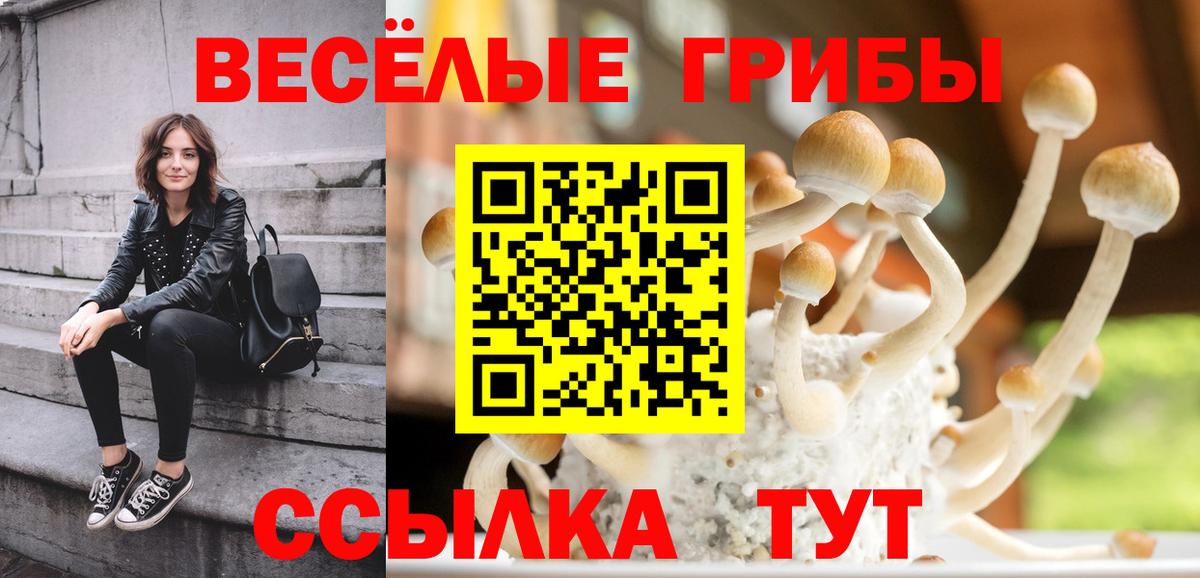 купить закладку  Вход с VPN  Алатырь  Галлюциногенные грибы ЛСД 